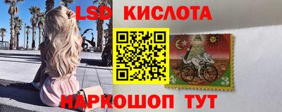 ECSTASY Кимры