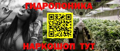 марихуана Кингисепп