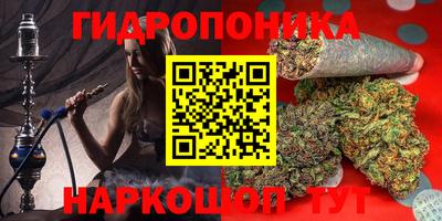 марихуана Кингисепп