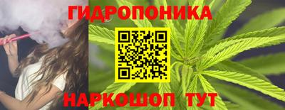 марихуана Кингисепп