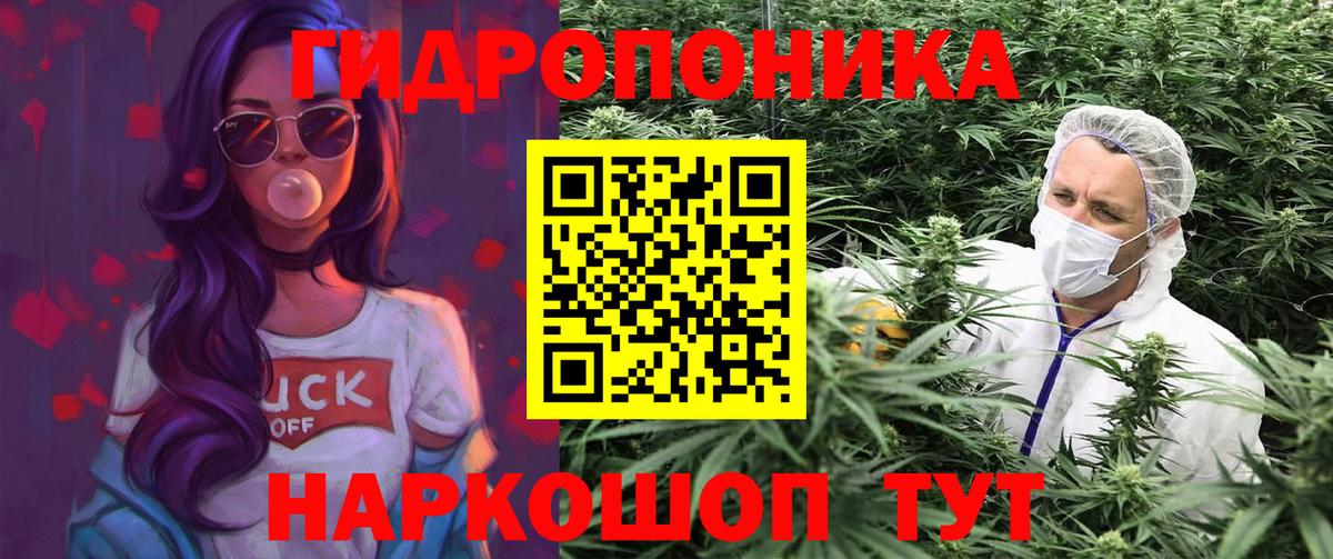 Шишки марихуана план Домодедово